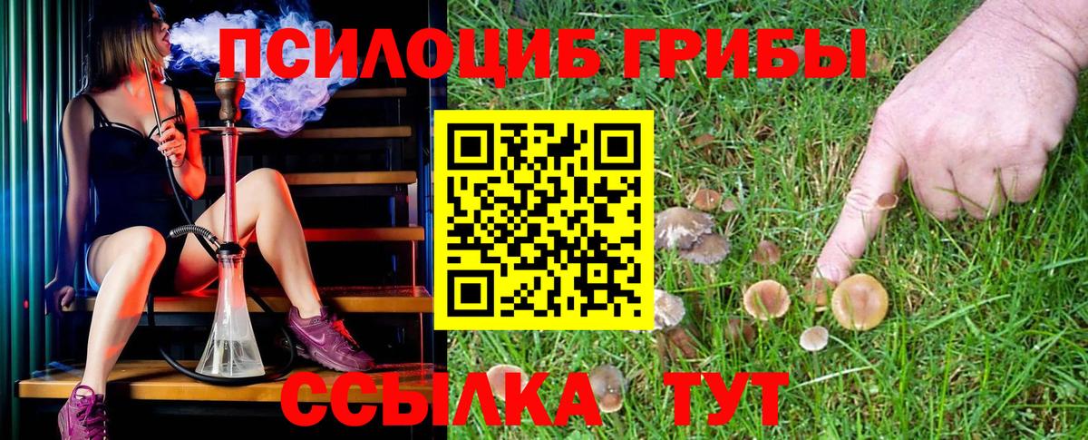 Псилоцибиновые грибы MAGIC MUSHROOMS Семилуки